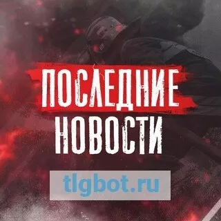 Логотип novostitgr