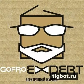 Логотип gofroexpert