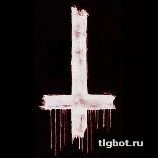 Логотип www656