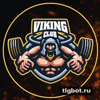 Логотип viking_sport