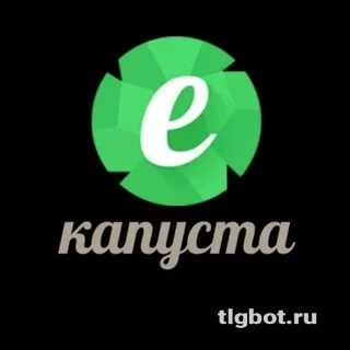 Логотип ekapysta1