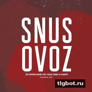 Логотип snusovoz