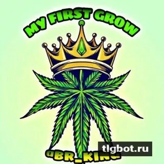 Логотип grower_4_20