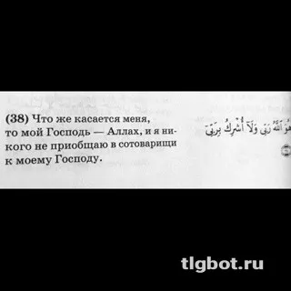 Логотип alahiru