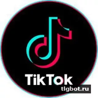 Логотип tiktokfana