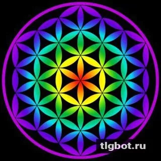 Логотип psylibro