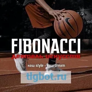 Логотип fiibonacci