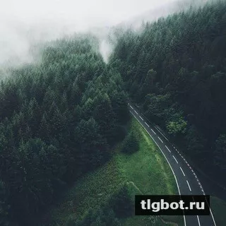 Логотип gstories