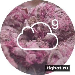 Логотип cloudn1ne