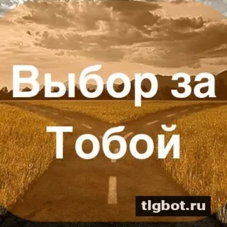 Выбор за тобой