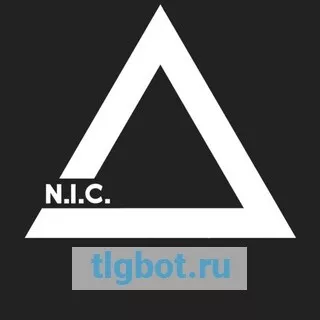 Логотип nic_crypto