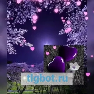 Логотип purple_heart_79