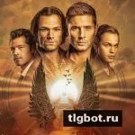 Логотип AAAAAEvHiZICJpiFkUIxyg