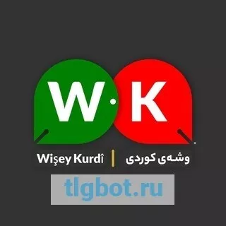 Логотип wiseykurdi1