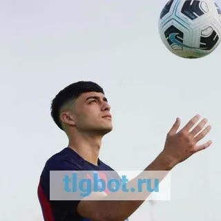Логотип pedribarsa