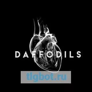 Логотип daffodilsxx