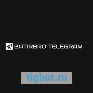 Логотип batirbro