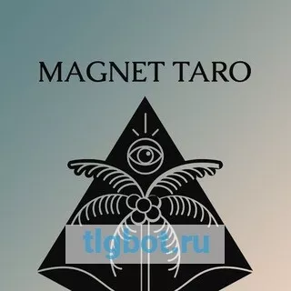 Логотип magnettaro