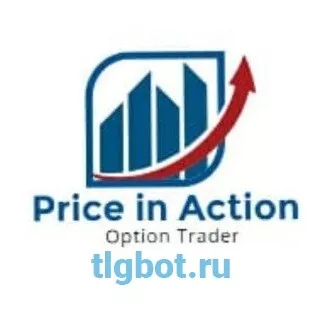 Логотип priceinaction