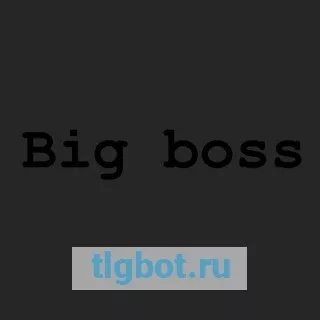 Логотип big_bosssssss