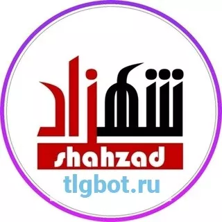 Логотип shahzadoff