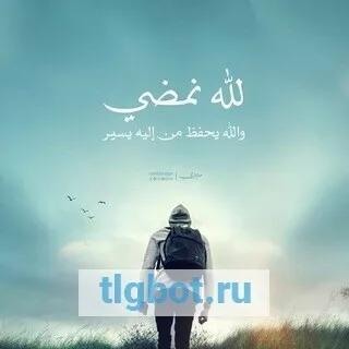 Логотип islamm4