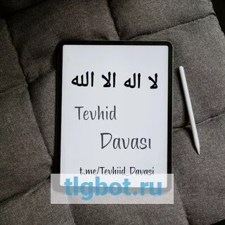 Логотип tevhiid_davasi