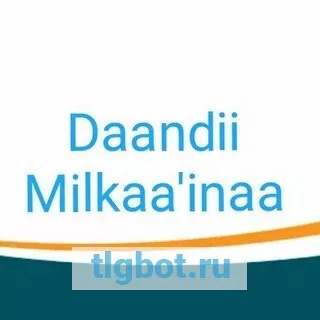 Логотип daandiimilkii