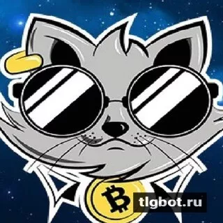 Логотип cryptocat_ru