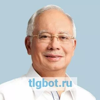 Логотип najibrazak