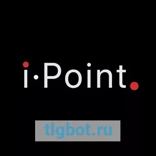 Логотип ipoint_nsk