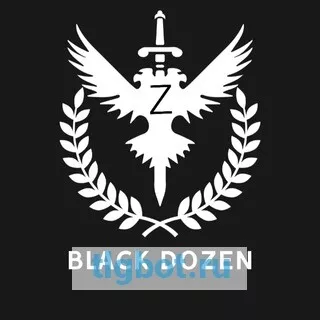 Логотип blackdozen