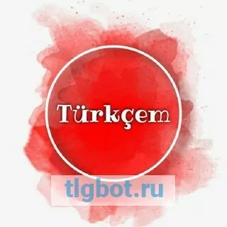 Логотип turkdili_kg