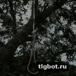 Логотип your_suicide