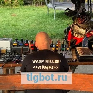 Логотип wasp_killer