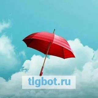 Логотип umbrella