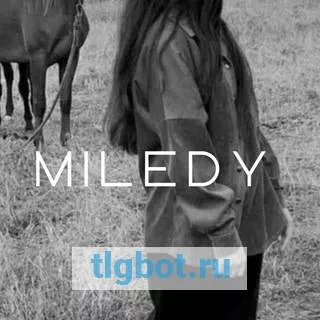 Логотип miledy16