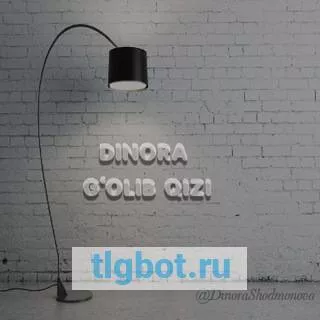 Логотип dinorashodmonova