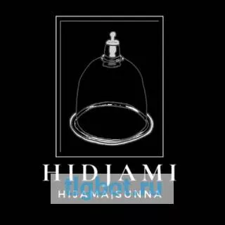 Логотип hidjami