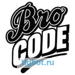 Логотип bro_codes