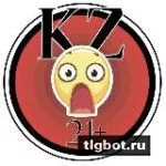 Логотип zhestkaz