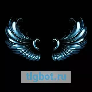 Логотип angel1600