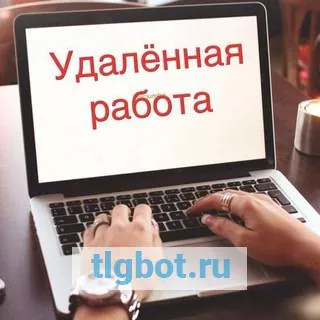 Логотип workingfree