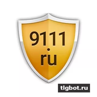 Логотип www9111ru