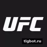 Логотип ufc258_volkov