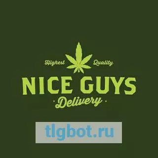 Логотип niceguysala