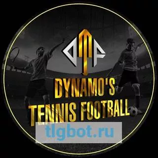 Логотип dynamo_football