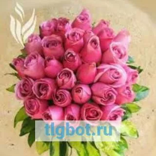 Логотип javvaan