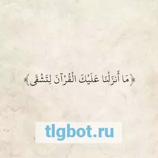 Логотип ayaat1616