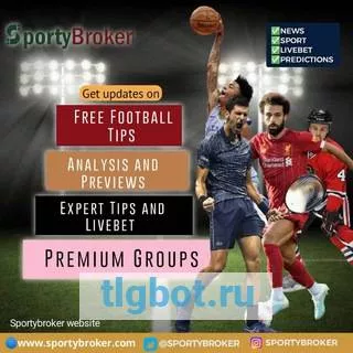 Логотип sportybroker